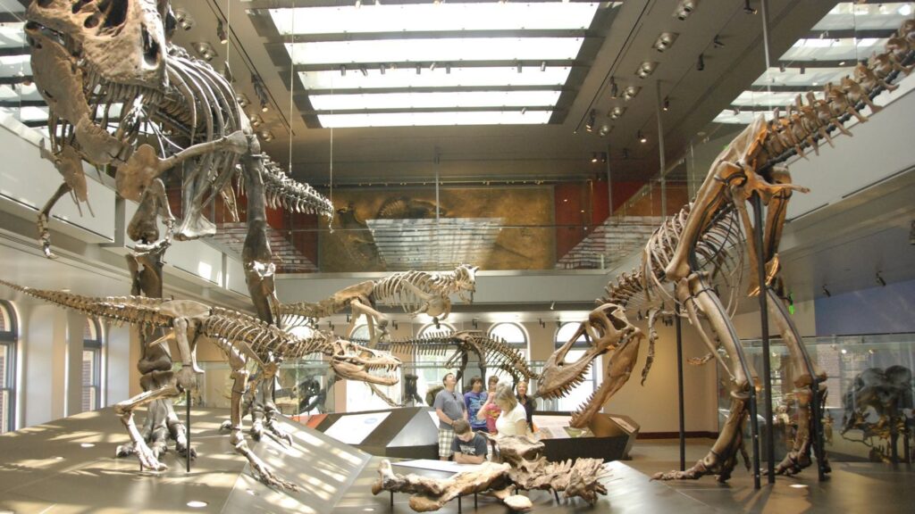 New Evidence Rewrites Dinosaur Growth: Faster, Stronger Than We Thought