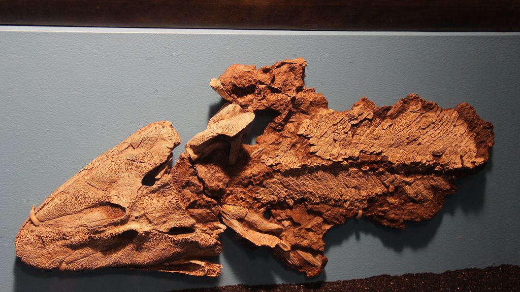 From Sea to Land: The Revolutionary Evolution of Early Reptiles