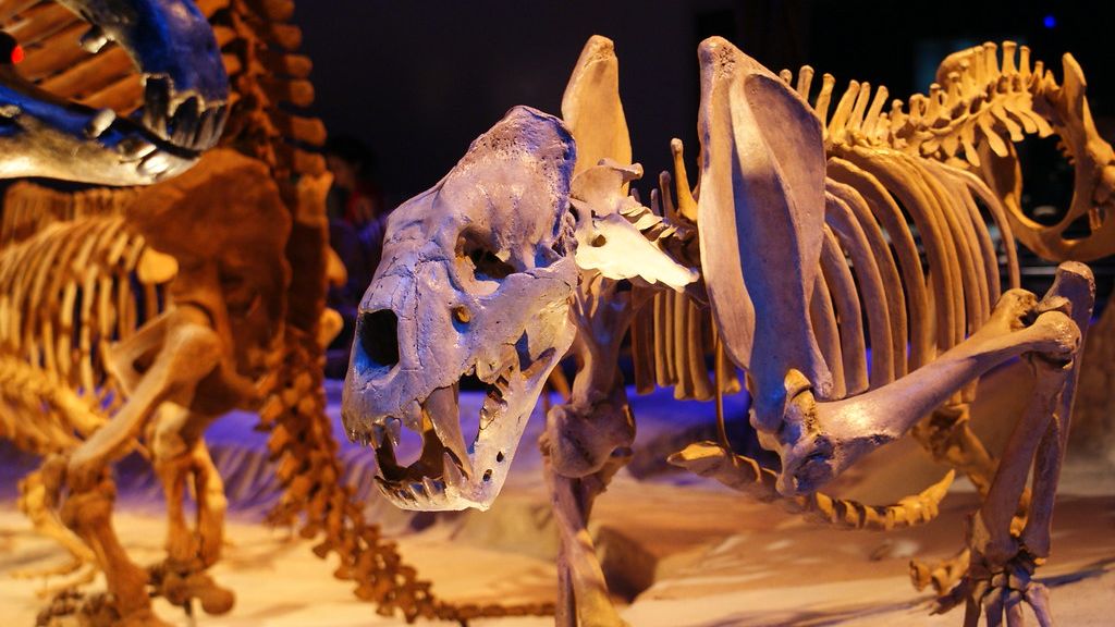 When America Was Wild: Prehistoric Mammals That Roamed Before Time