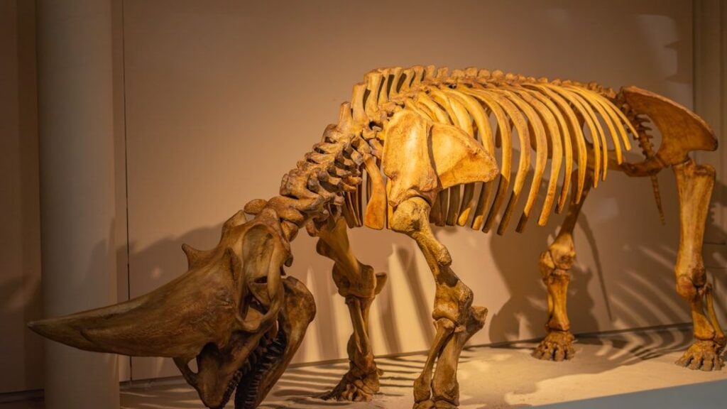 8 Evolutionary Dead Ends: Creatures That Didn't Make It Through Time