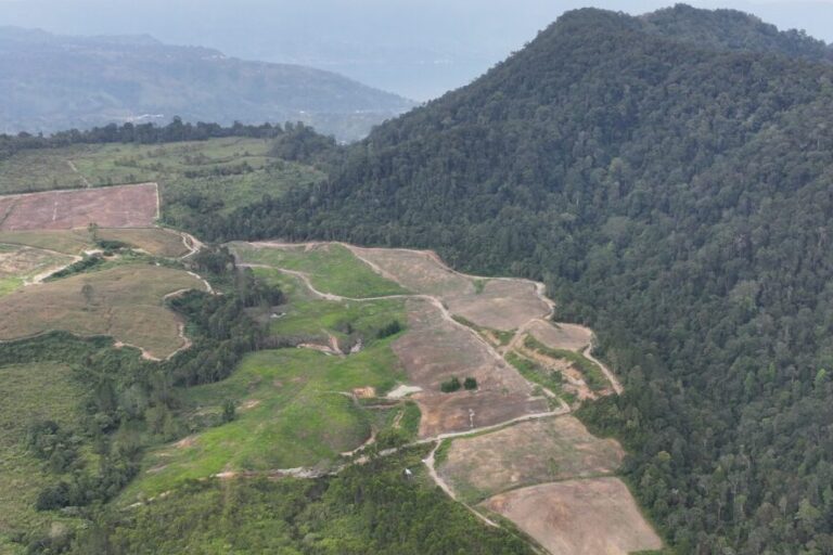 Indonesian communities try to reclaim lands following company permit revocations