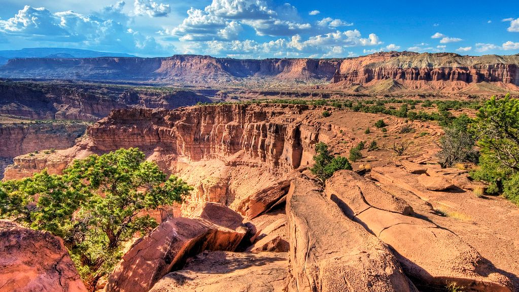 5 Geological Wonders in the US Where You Can Discover Ancient Marine Fossils