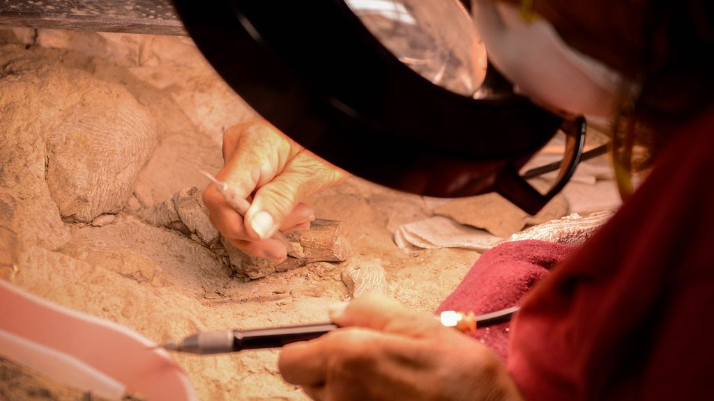 Decoding the Ancient Past: New Paleontological Techniques Revealing Hidden Truths