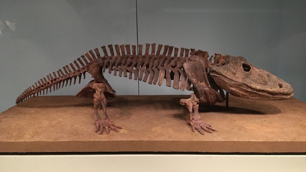 12 Fascinating Theories About Why Ancient Amphibians Grew So Large