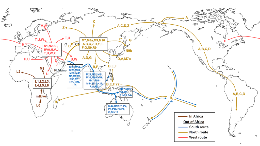 Ancient Human Migrations: Tracing the Footsteps of Our Earliest Ancestors