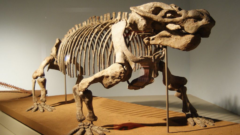 The Permian Extinction: Earth's Greatest Catastrophe and Life's Rebirth