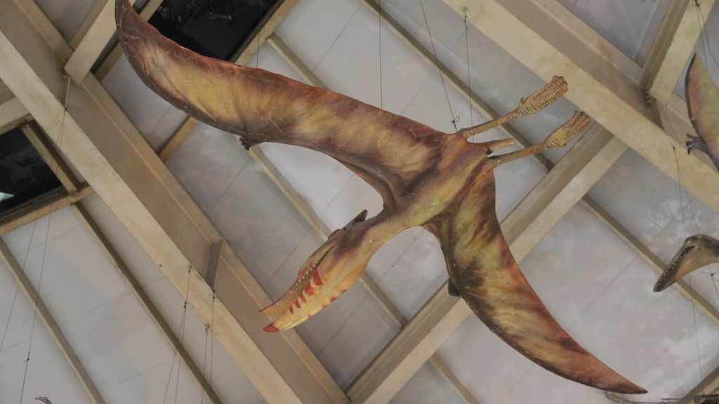 7 Zodiac Signs Whose Personalities Align with the Ancient Pterosaur's Grace