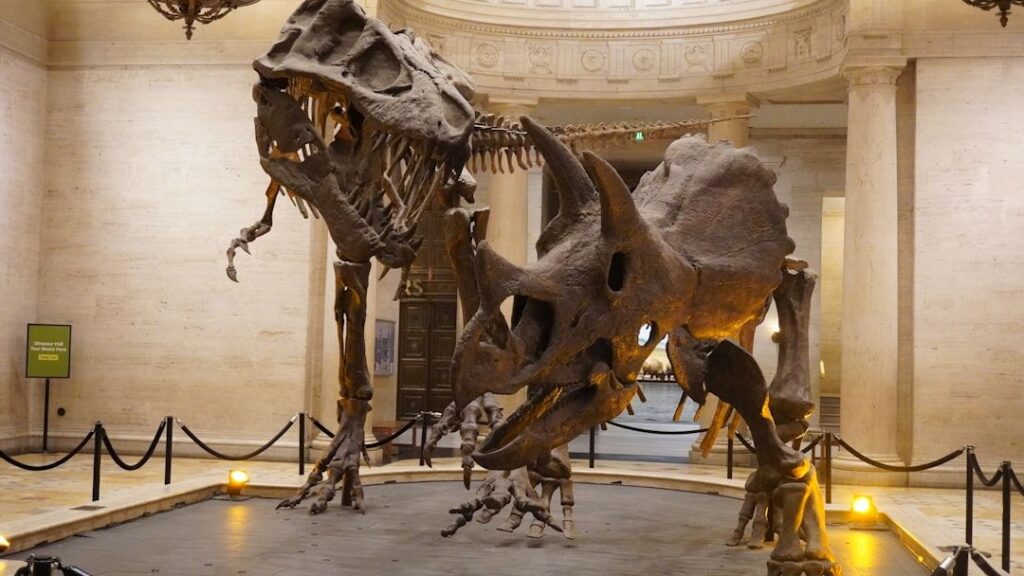 10 Hidden Clues in Fossils That Reveal Prehistoric Dinosaur Behavior