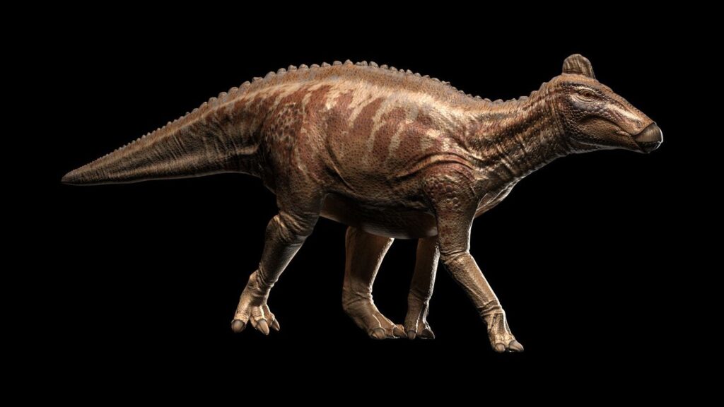 8 Astrological Signs That Share the Ancient Wisdom of the Hadrosaur