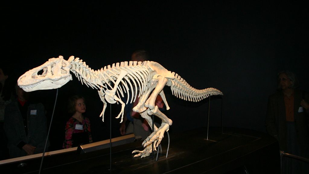 How Do Dinosaur Growth Rings Compare to the Ancient Trees of Today?