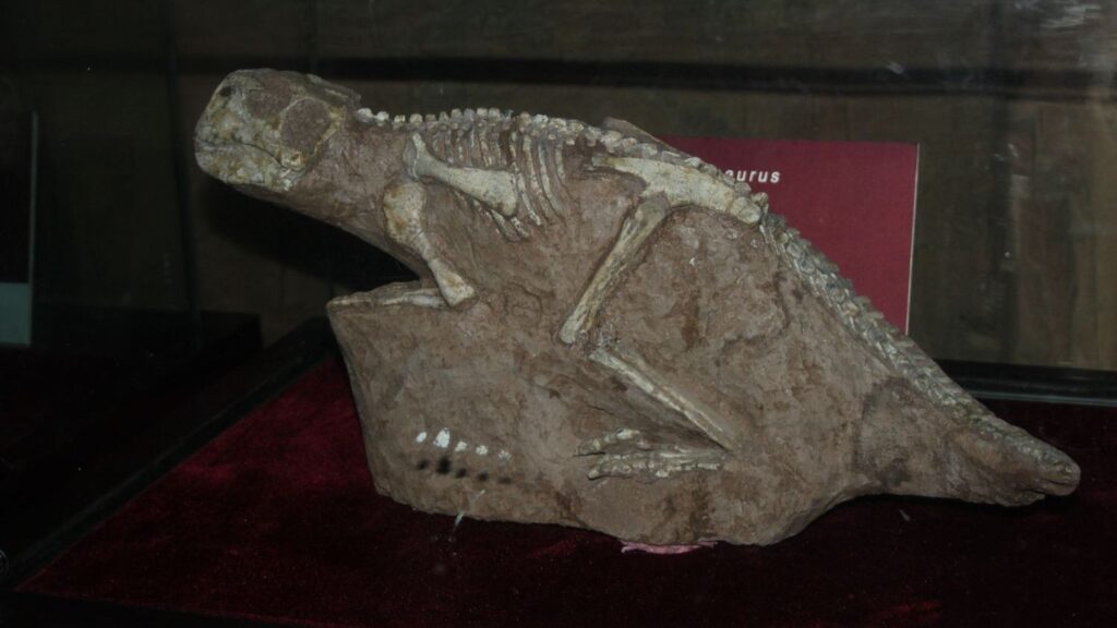 Beyond the Asteroid: 10 Other Theories About Dinosaur Extinction