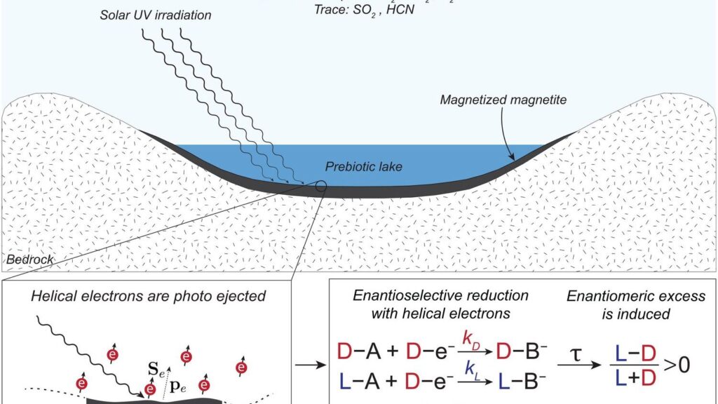 10 Mind-Boggling Theories About How Life First Emerged on Our Primitive Planet