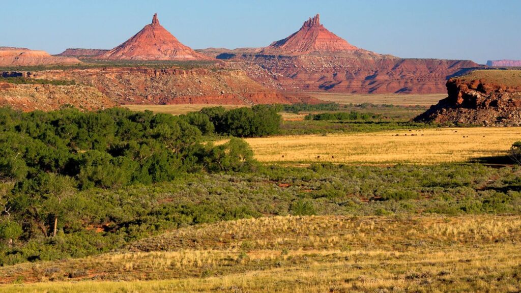 8 Unbelievable Fossil Sites in the US That Are Rewriting Earth's Story