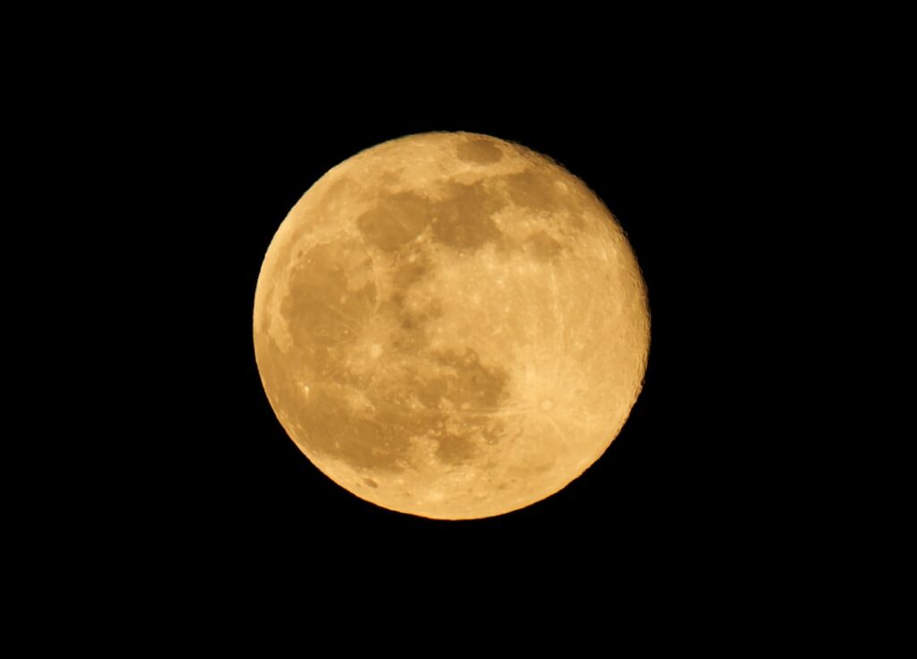 Moonchild Daily Horoscope – 10 March 2026