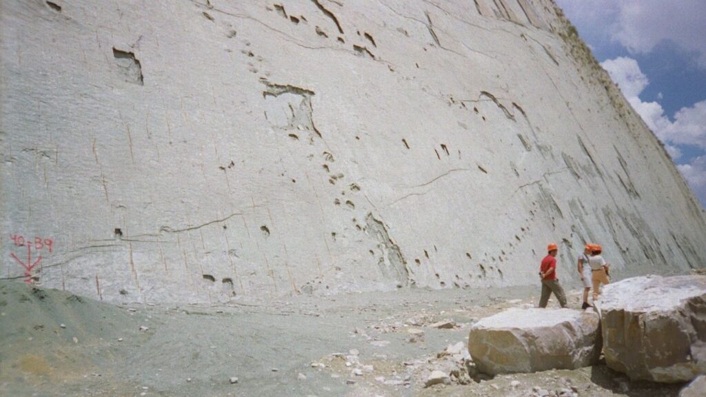 Decoding Dinosaur Footprints: What Ancient Stomps Tell Us About Their Lives