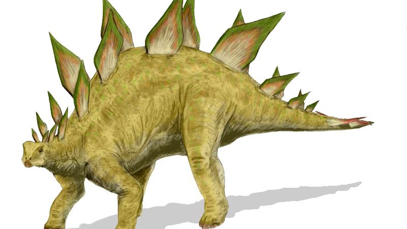 These 8 Zodiac Signs Are As Loyal And Protective As A Stegosaurus