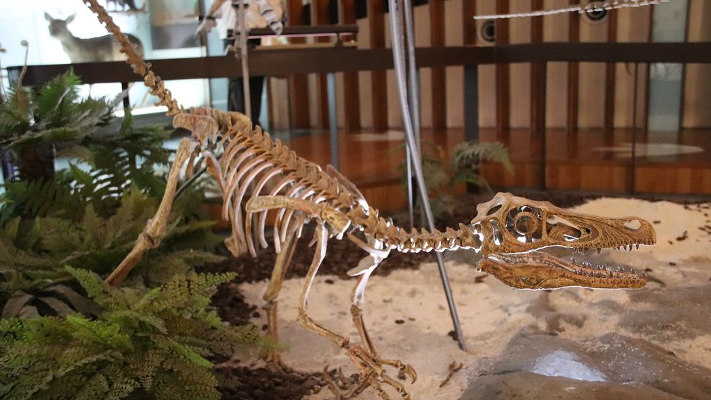 6 Ancient Discoveries That Prove Dinosaurs Were Smarter Than We Thought