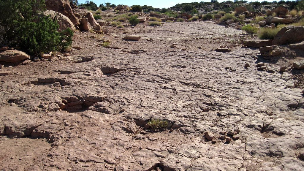 The World's Oldest Dinosaur Footprints Were Just Discovered