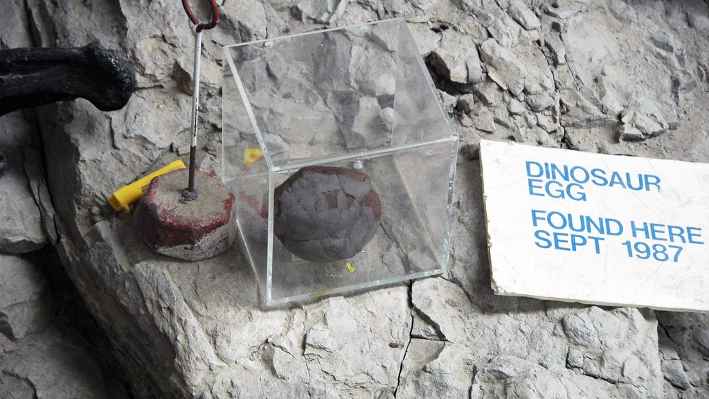 Paleontologists Just Found a Perfectly Preserved Dinosaur Egg