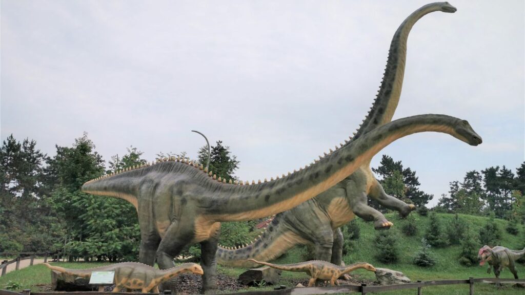 6 Zodiac Signs Whose Patience and Wisdom Rival the Seismosaurus