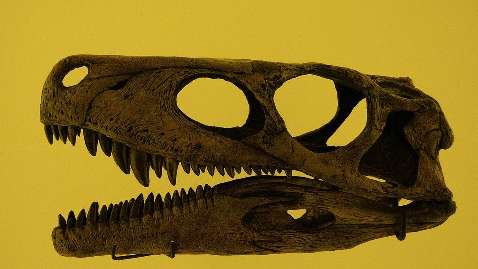 10 Incredible Dinosaur Discoveries That Prove Life Finds a Way