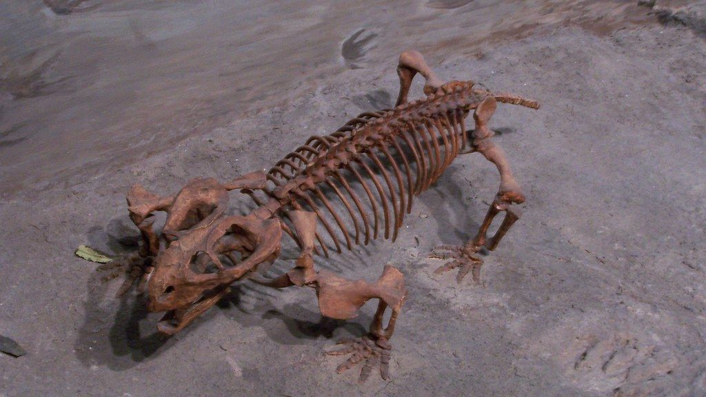 The 3 Most Mysterious Dinosaur Extinctions Before the Big One