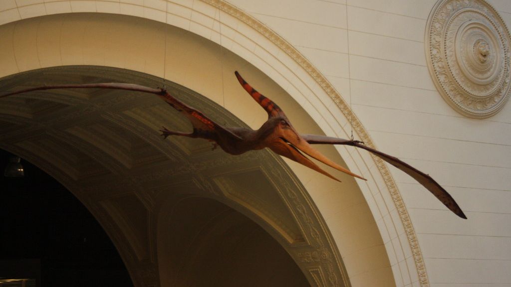 These 5 Zodiac Signs Are as Resilient and Unyielding as a Pterodactyl