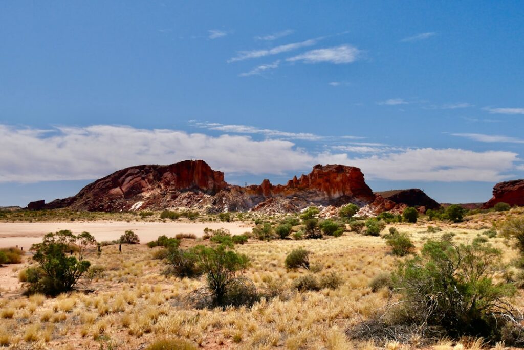 Are government subsidies undermining conservation efforts in Australia?