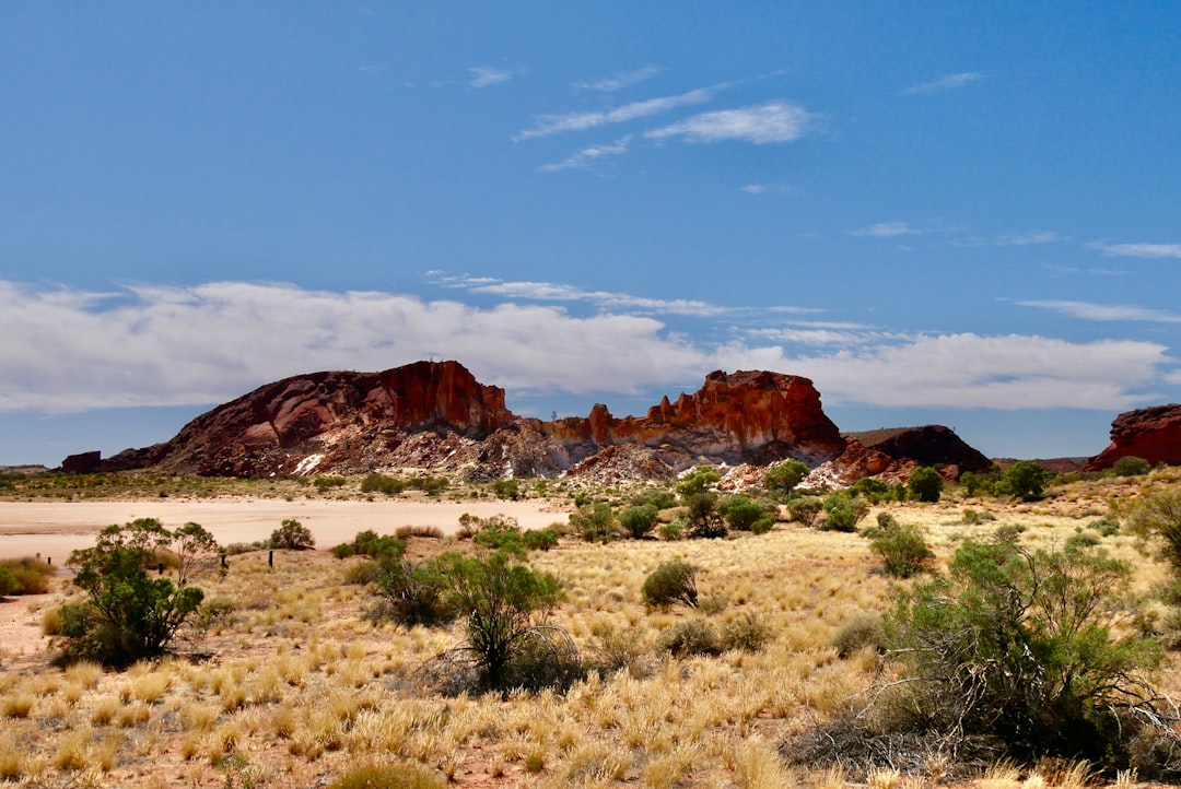 Are government subsidies undermining conservation efforts in Australia?