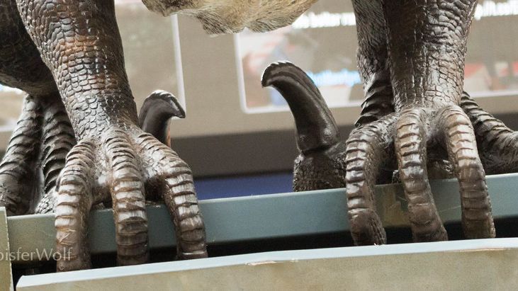 6 Zodiac Signs Whose Minds Are as Sharp as a Raptor's Claw