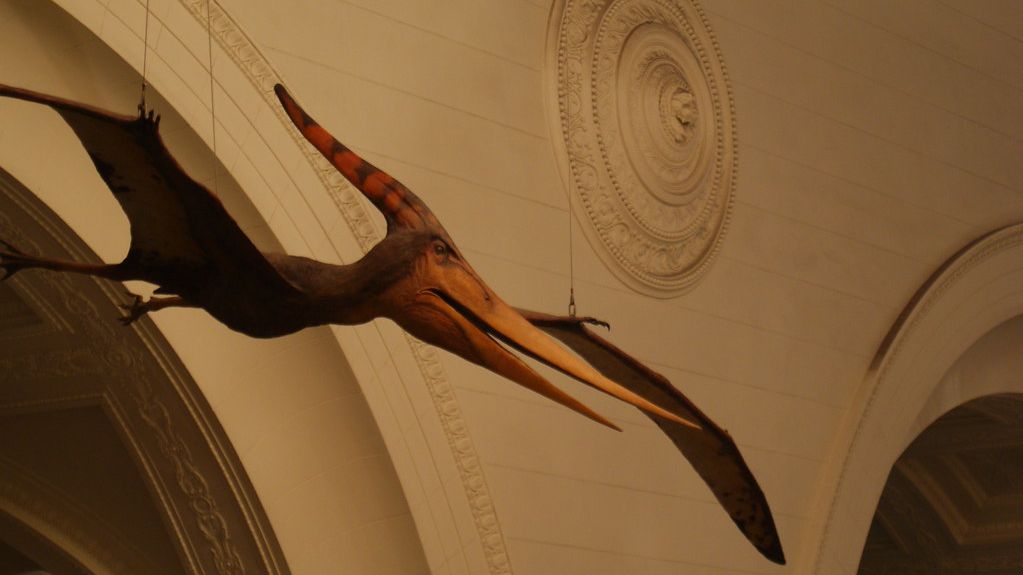 These 4 Zodiac Signs Handle Pressure with the Grace of a Soaring Pterodactyl