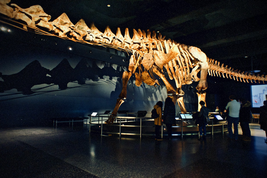 BIG neck. BIG lungs. BIG questions.