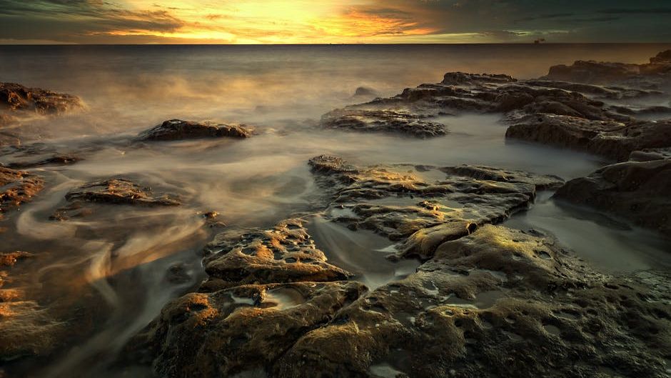 12 Fascinating Facts About the Oceans During the Age of Dinosaurs