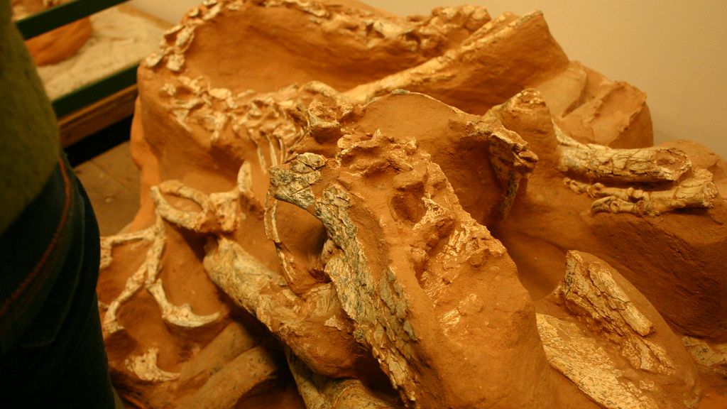 7 Astounding Dinosaur Discoveries That Rewrote the History Books in the Last Decade