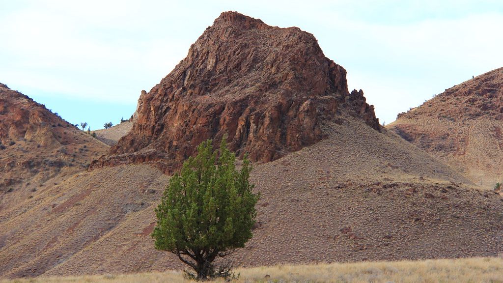 9 Ancient Fossil Sites in North America You Can Still Visit Today