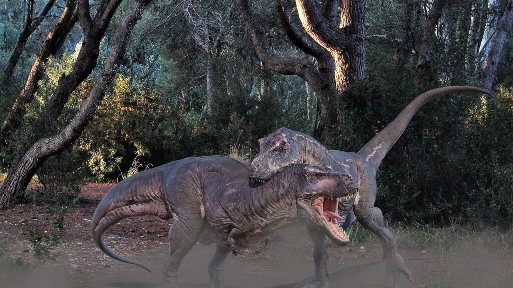 The Unseen Battles: Evidence of Fierce Rivalries Among Apex Predator Dinosaurs