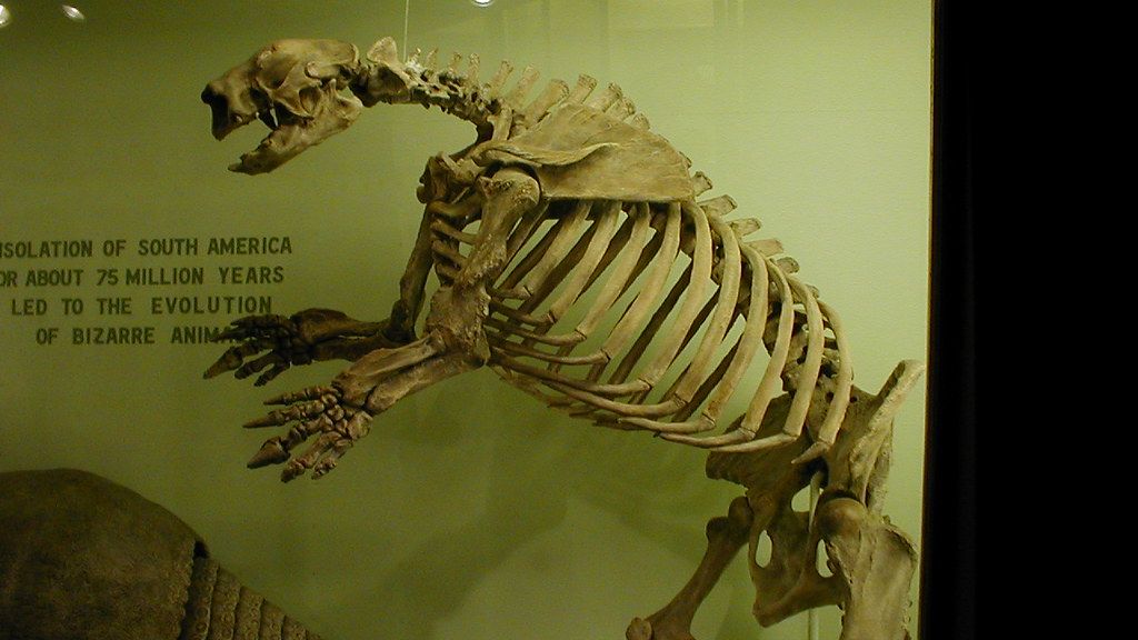 6 Zodiac Signs Whose Patience Rivals the Endurance of a Giant Ground Sloth