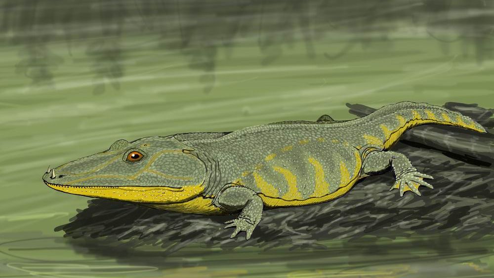 The 11 Most Mysterious Prehistoric Creatures Still Baffling Scientists Today