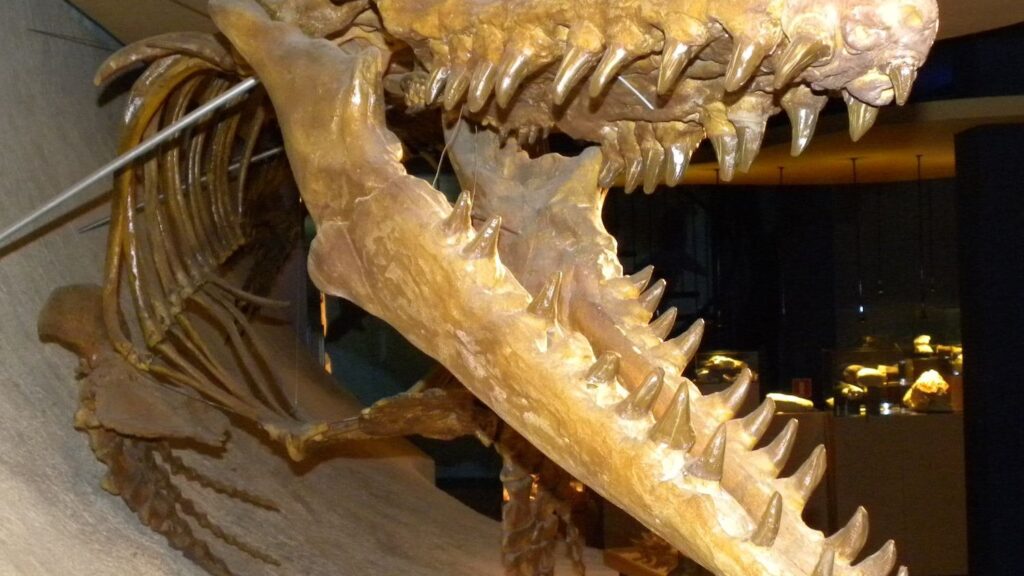 The Ocean's Forgotten Giants: Unveiling the Secrets of Mosasaurs