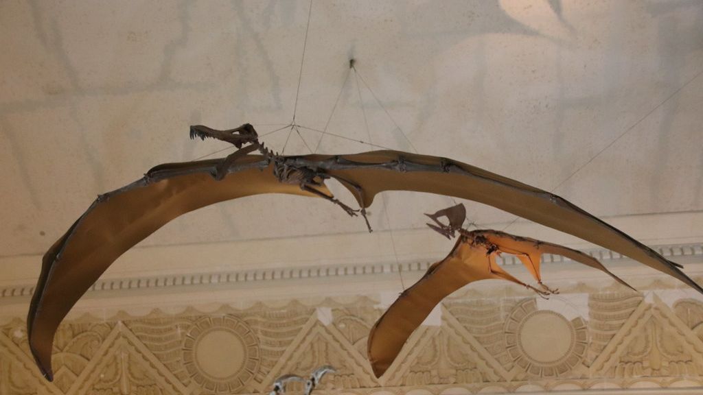 New Discoveries Challenge Everything We Thought We Knew About Pterosaurs