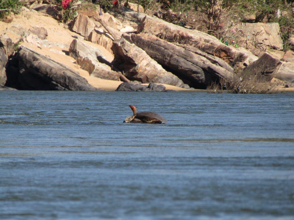 Empowering Budding Conservationists