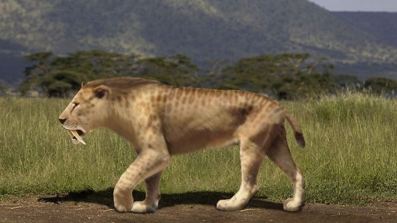 6 Zodiac Signs That Roam Through Life With the Confidence of a Saber-Toothed Cat