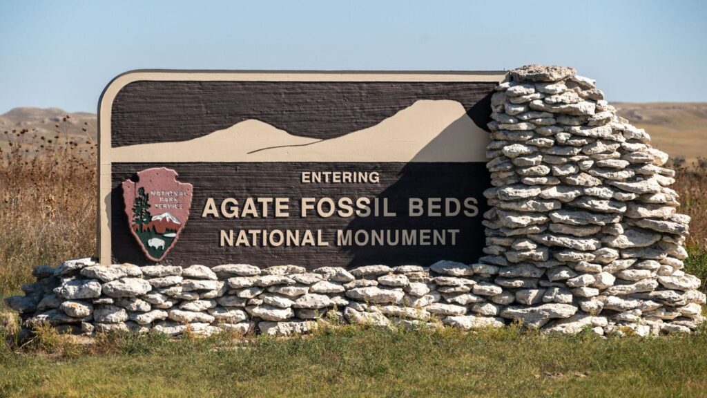 12 Incredible Fossil Sites in the US You Can Visit Today