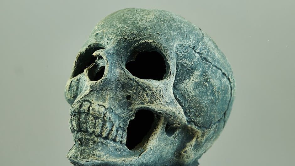5 Unexpected Discoveries That Changed Our Understanding of Early Humans in North America