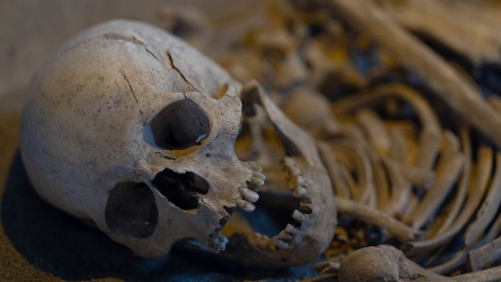 7 Astonishing Discoveries About Early Human Life in North America