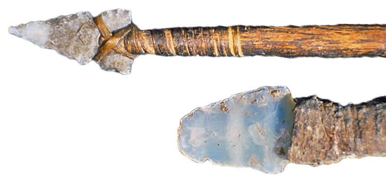 The 48,000-year-old weapon that powered early human survival