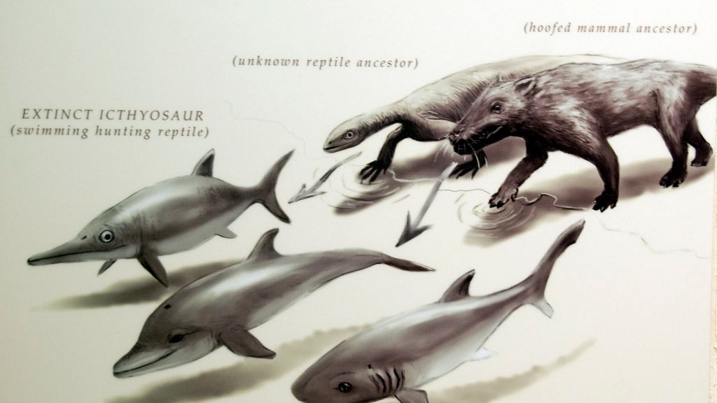 Wildlife Evolution Continues to Surprise Scientists with Unforeseen Adaptations