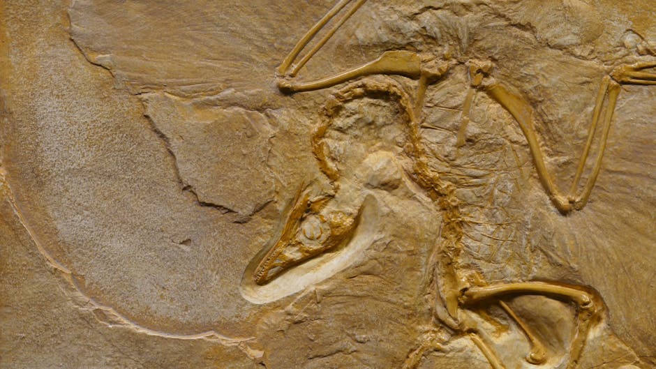 Paleontologists Are Continuously Unearthing New Evidence Challenging Old Dinosaur Theories