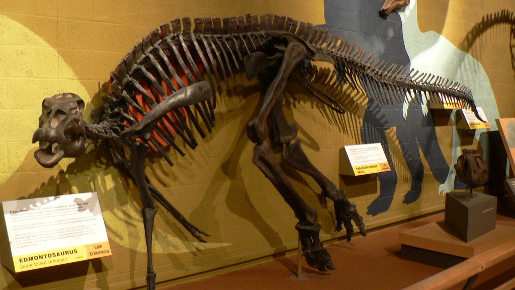 The Ongoing Hunt for Dinosaur DNA Continues to Captivate Scientists and Enthusiasts Alike
