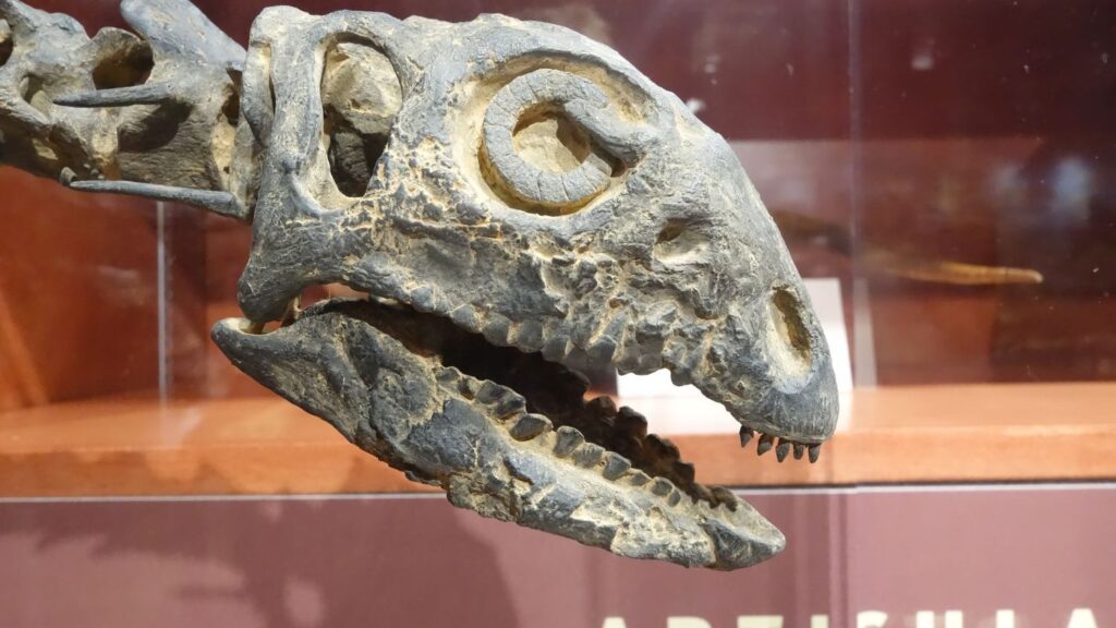 Our Understanding of Dinosaur Intelligence Is Far More Complex Than Previously Imagined